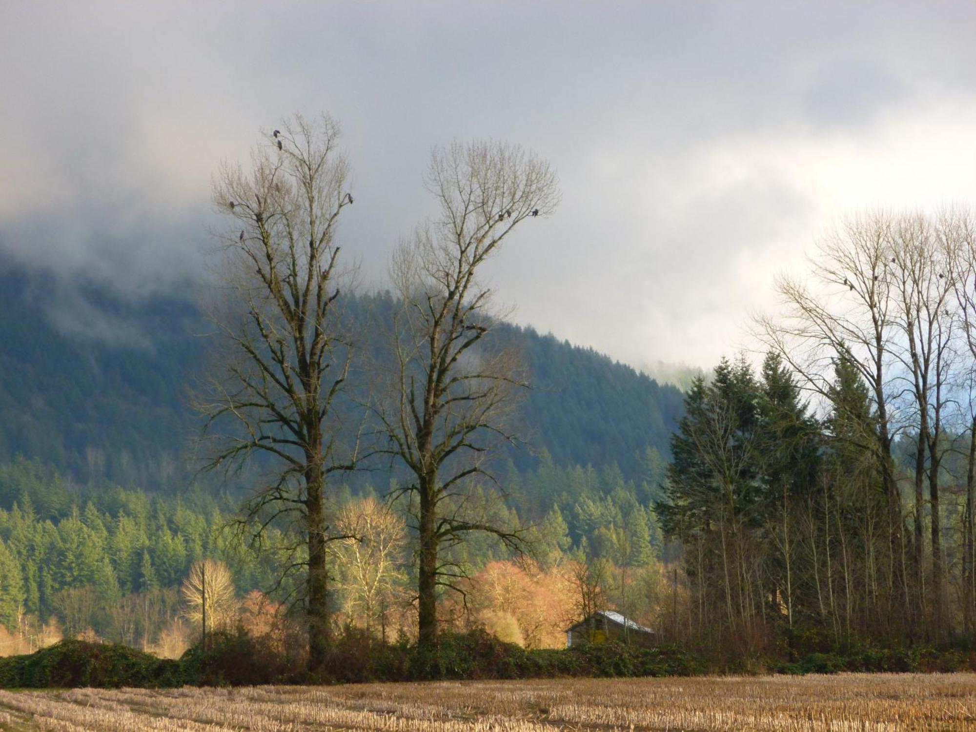 Harrison Hammond House Farmstay Harrison Mills ภายนอก รูปภาพ