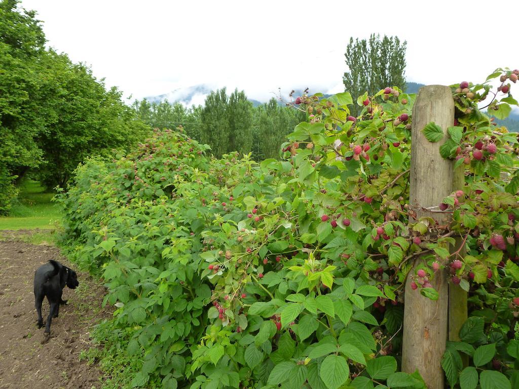 Harrison Hammond House Farmstay Harrison Mills ภายนอก รูปภาพ