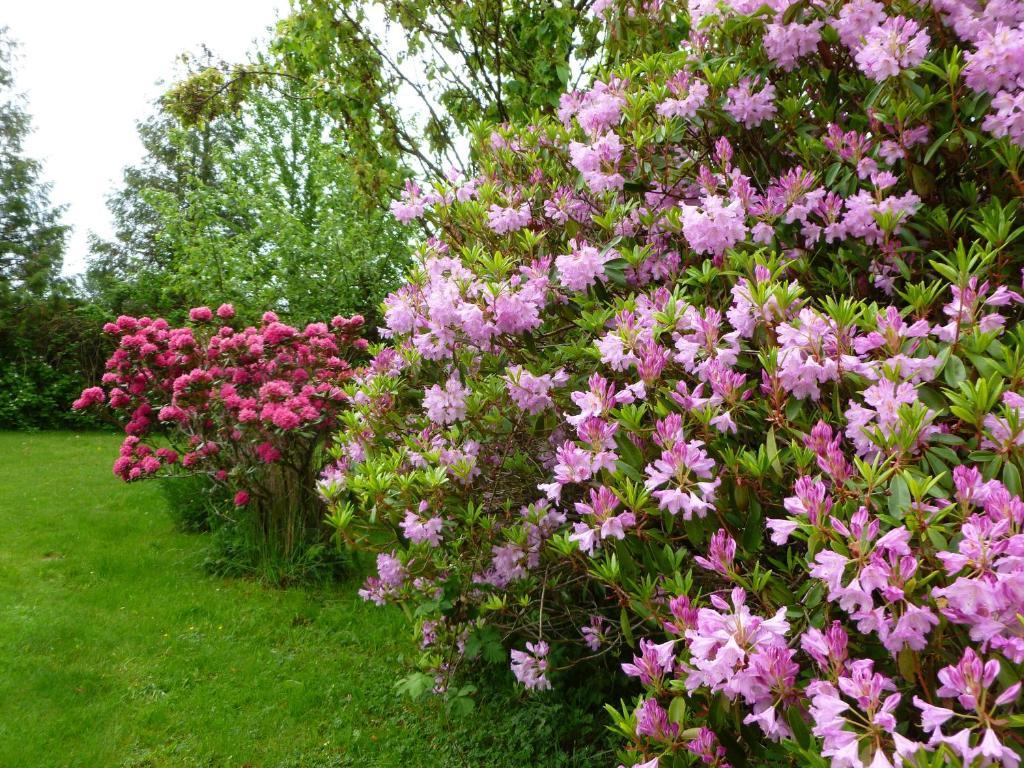 Harrison Hammond House Farmstay Harrison Mills ภายนอก รูปภาพ