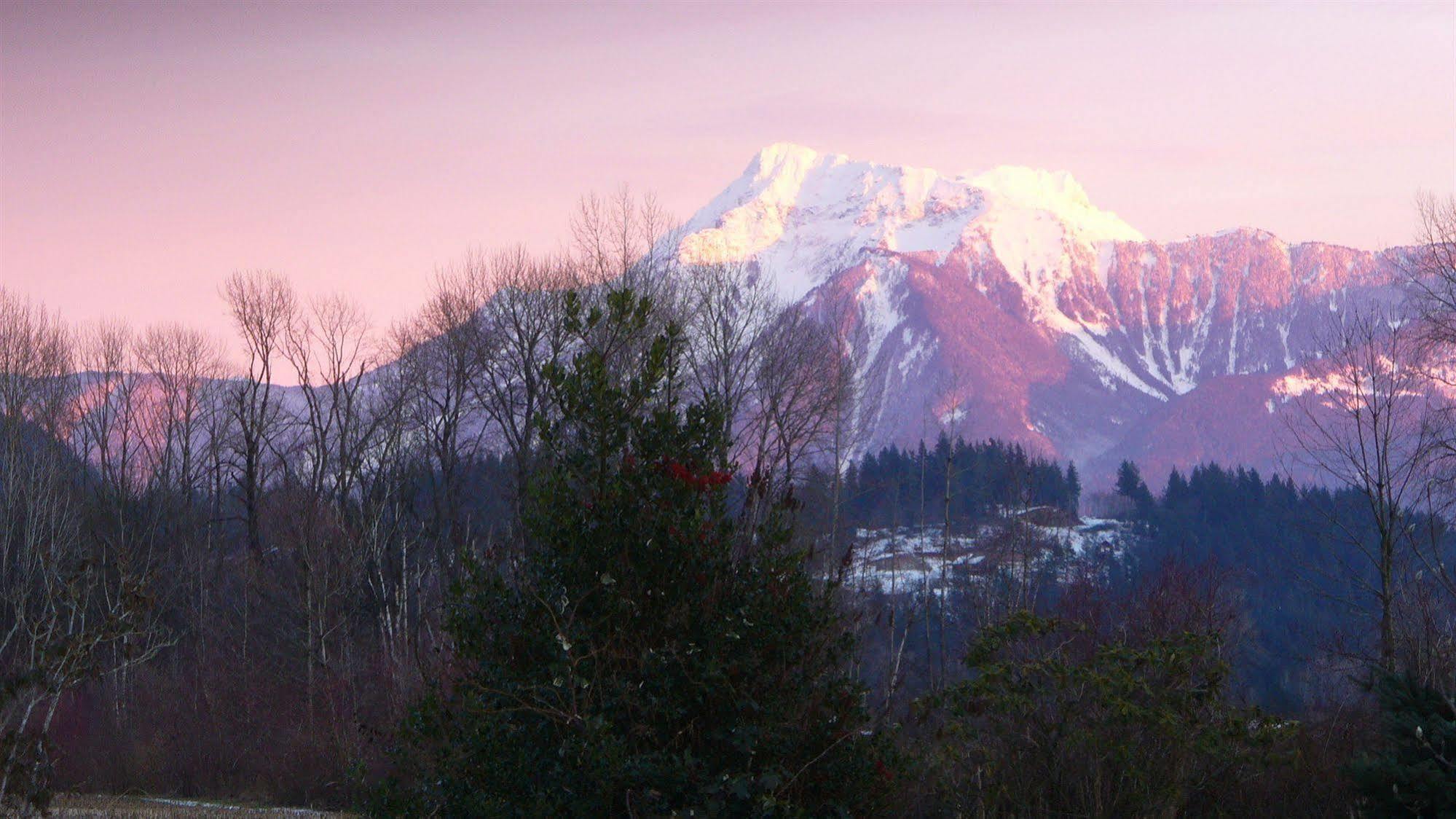 Harrison Hammond House Farmstay Harrison Mills ภายนอก รูปภาพ